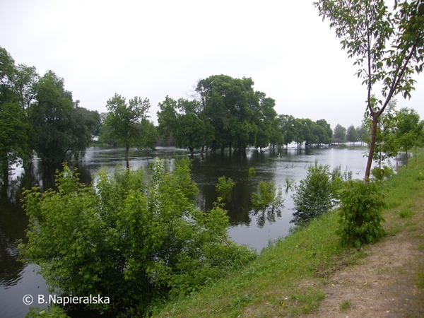 Miedzychód